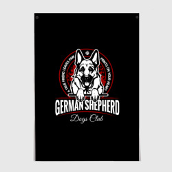 Постер Немецкая Овчарка German Shepherd-1