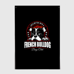 Постер Французский Бульдог French Bulldog