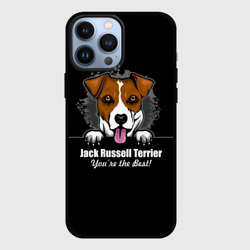 Чехол для iPhone 13 Pro Max Джек-Рассел-Терьер Jack Russell Terrier