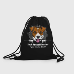 Рюкзак-мешок 3D Джек-Рассел-Терьер Jack Russell Terrier