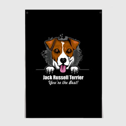 Постер Джек-Рассел-Терьер Jack Russell Terrier