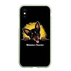 Чехол для iPhone XS Max матовый Пинчер Miniature Pinscher