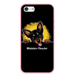 Чехол для iPhone 5/5S матовый Пинчер Miniature Pinscher