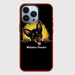 Чехол для iPhone 13 Pro Пинчер Miniature Pinscher