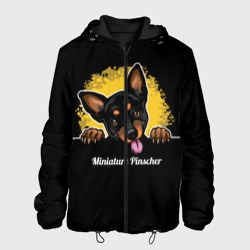 Мужская куртка 3D Пинчер Miniature Pinscher