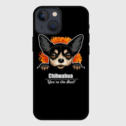 Чехол для iPhone 13 mini Чихуахуа Chihuahua