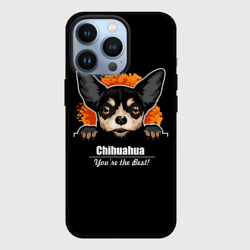 Чехол для iPhone 13 Pro Чихуахуа Chihuahua