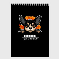 Скетчбук Чихуахуа Chihuahua