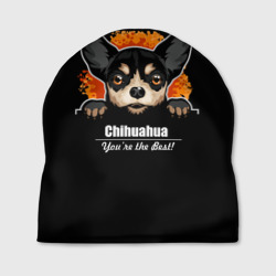 Шапка 3D Чихуахуа Chihuahua