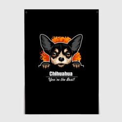 Постер Чихуахуа Chihuahua