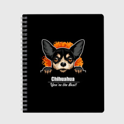 Тетрадь Чихуахуа Chihuahua