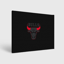 Холст прямоугольный Chicago bulls Чикаго буллс ярость быка