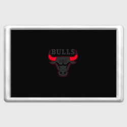 Магнит 45*70 Chicago bulls Чикаго буллс ярость быка