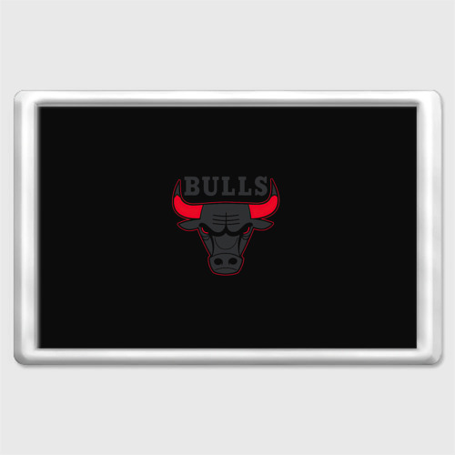 Магнит 45*70 Chicago bulls Чикаго буллс ярость быка, цвет прозрачный