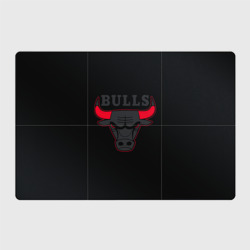 Магнитный плакат 3Х2 Chicago bulls Чикаго буллс ярость быка