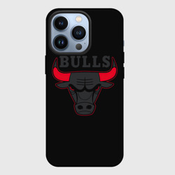 Чехол для iPhone 13 Pro Chicago bulls Чикаго буллс ярость быка