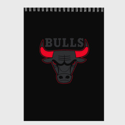 Скетчбук Chicago bulls Чикаго буллс ярость быка