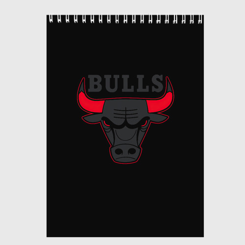 Скетчбук Chicago bulls Чикаго буллс ярость быка, цвет белый