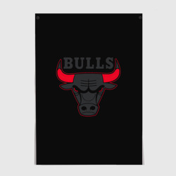 Постер Chicago bulls Чикаго буллс ярость быка