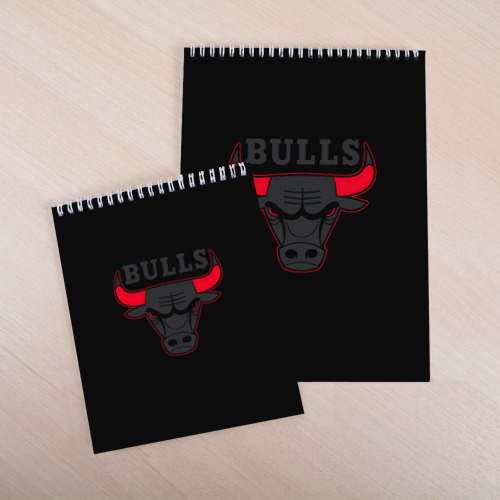 Скетчбук Chicago bulls Чикаго буллс ярость быка, цвет белый - фото 4