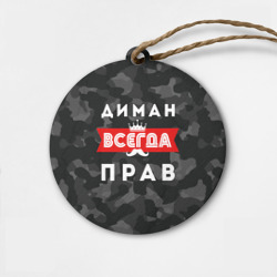 Деревянная игрушка круг Диман всегда прав
