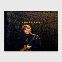 Обложка для студенческого билета Мумий Тролль Илья Лагутенко