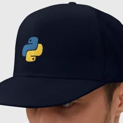 Кепка снепбек с прямым козырьком Python язык