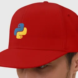 Кепка снепбек с прямым козырьком Python язык