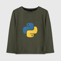 Детский лонгслив хлопок Python язык