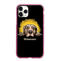 Чехол для iPhone 11 Pro Max матовый Веймаранер Weimaraner