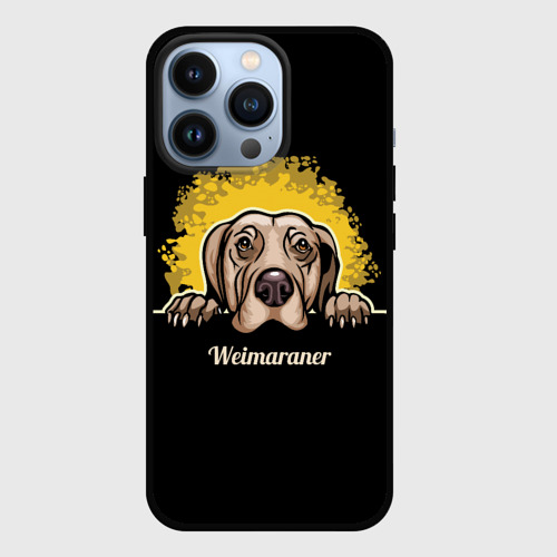 Чехол для iPhone 13 Pro Веймаранер Weimaraner, цвет черный