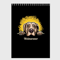 Скетчбук Веймаранер Weimaraner