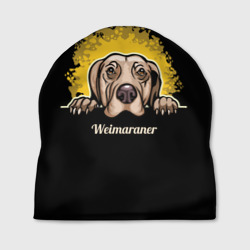 Шапка 3D Веймаранер Weimaraner