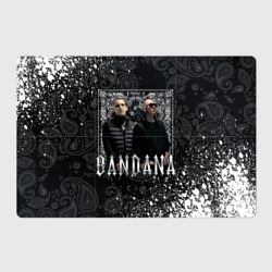 Магнитный плакат 3Х2 Bandana 1