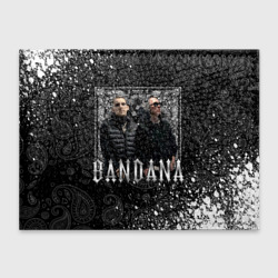 Обложка для студенческого билета Bandana 1