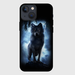 Чехол для iPhone 13 mini Волк бродяга