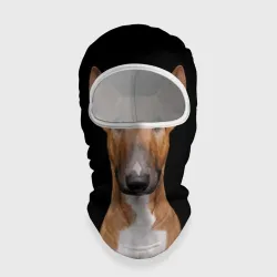 Балаклава 3D Строгий смелый взгляд - бультерьер