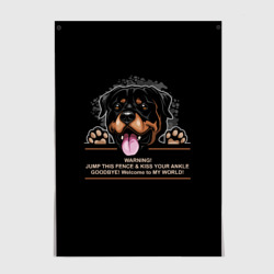 Постер Собака Ротвейлер