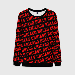 Мужской свитшот 3D Чикаго Буллз, Chicago Bulls