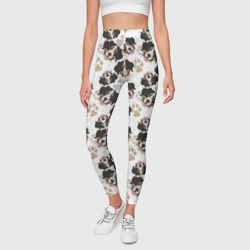 Леггинсы 3D Зенненхунд Бернский - фото 2
