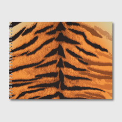 Альбом для рисования Тигриная шкура