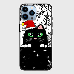 Чехол для iPhone 14 Pro Max Новогодний кот в колпаке Санты