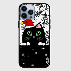Чехол для iPhone 13 Pro Max Новогодний кот в колпаке Санты