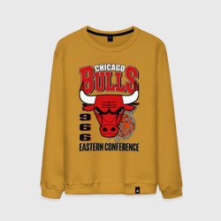 Мужской свитшот хлопок Chicago Bulls NBA