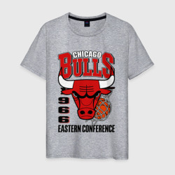 Мужская футболка хлопок Chicago Bulls NBA