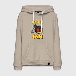 Мужская толстовка хлопок Serious Sam Bomb Logo