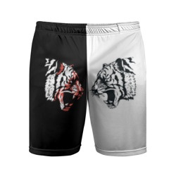 Мужские шорты спортивные Два тигра напротив друг друга