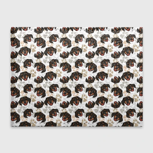 Обложка для студенческого билета Такса Dachshund Dog