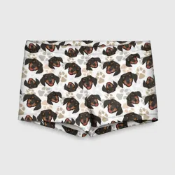 Детские купальные плавки 3D Такса Dachshund Dog