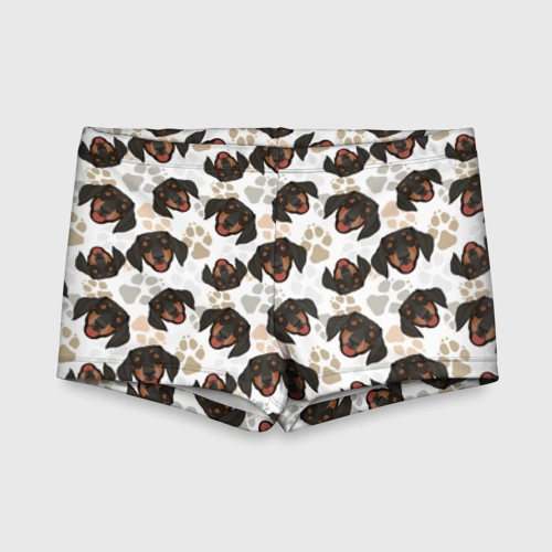 Детские купальные плавки 3D Такса Dachshund Dog